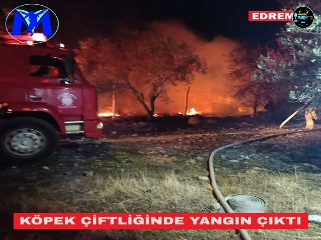 Akçay Kızılkeçili Yolu Üzerindeki Köpek Çiftliğinde Yangın Çıktı