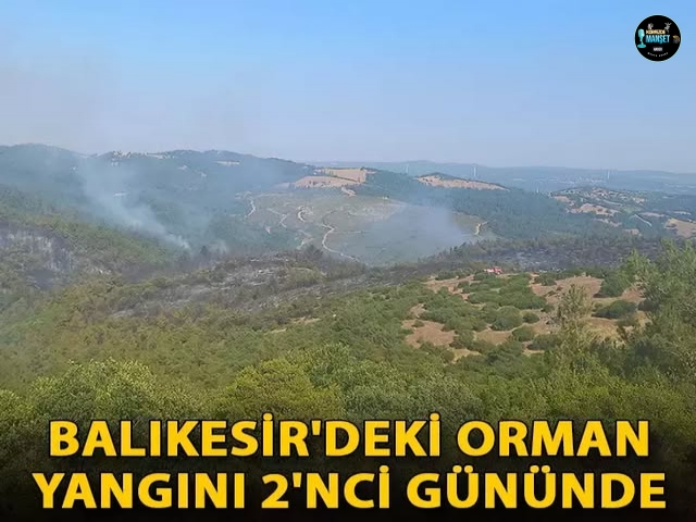 Balıkesir'deki orman yangını 2'nci gününde