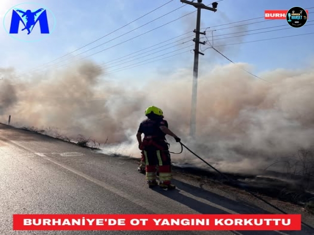 Burhaniye'de Ot Yangını Korkuttu