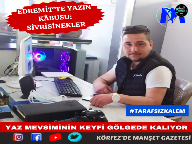 Edremit’te Yazın Kâbusu: Sivrisinekler