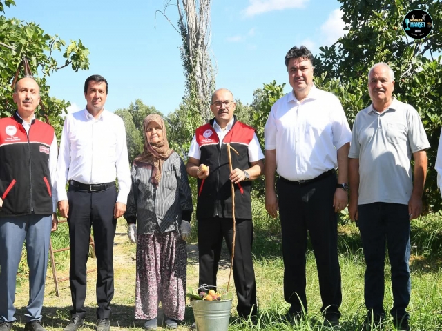 BALIKESİR VALİSİ İSMAİL USTAOĞLU HAVRAN'DA İNCİR TOPLADI