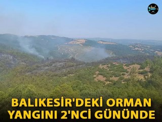 Balıkesir'deki orman yangını 2'nci gününde