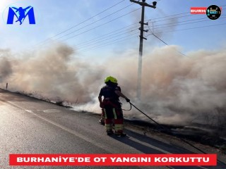 Burhaniye'de Ot Yangını Korkuttu