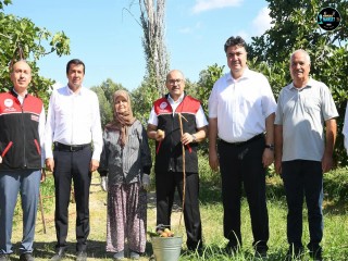 BALIKESİR VALİSİ İSMAİL USTAOĞLU HAVRAN'DA İNCİR TOPLADI