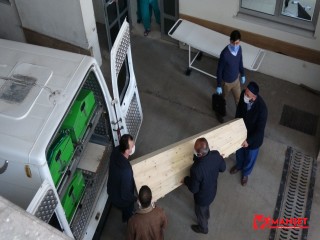 Hastaneden izinsiz çıkmıştı, korona virüsten hayatını kaybetti