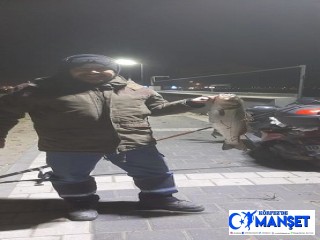 KÖRFEZ’DE BALIK BOLLUĞU
