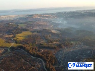 Çanakkale'deki orman yangınında 2 bin 500 hektar alan zarar gördü