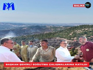 BAŞKAN ŞEHİRLİ SOĞUTMA ÇALIŞMALARINA KATILDI